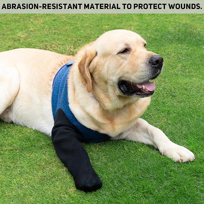 COODEO Dog Socks to Prevent Licking Paws, Healing Boots & Paw Protectors with Non-Slip Bottoms for Wound Protection, Waterproof Sleeve Shoes for Licking（Blue，2XL_Left