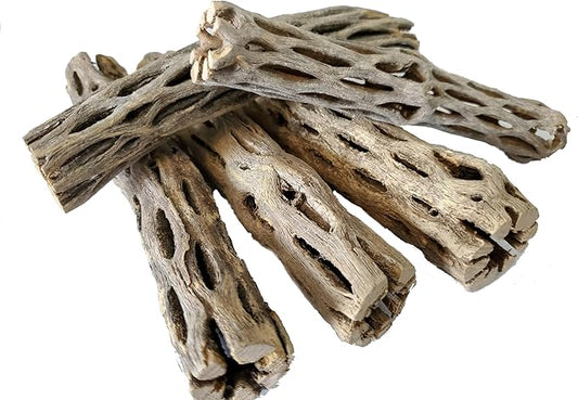 Natural Cholla Wood for Aquarium Decoration Shrimp and Fish Tank (6 Inch (5 Pack))