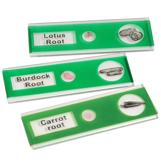 Prepared Microscope Slides for Kids – 12 Plastic Vegetable Specimens with Labels & Images – Safe, Durable Biology Science Kit for Students Ages 8+