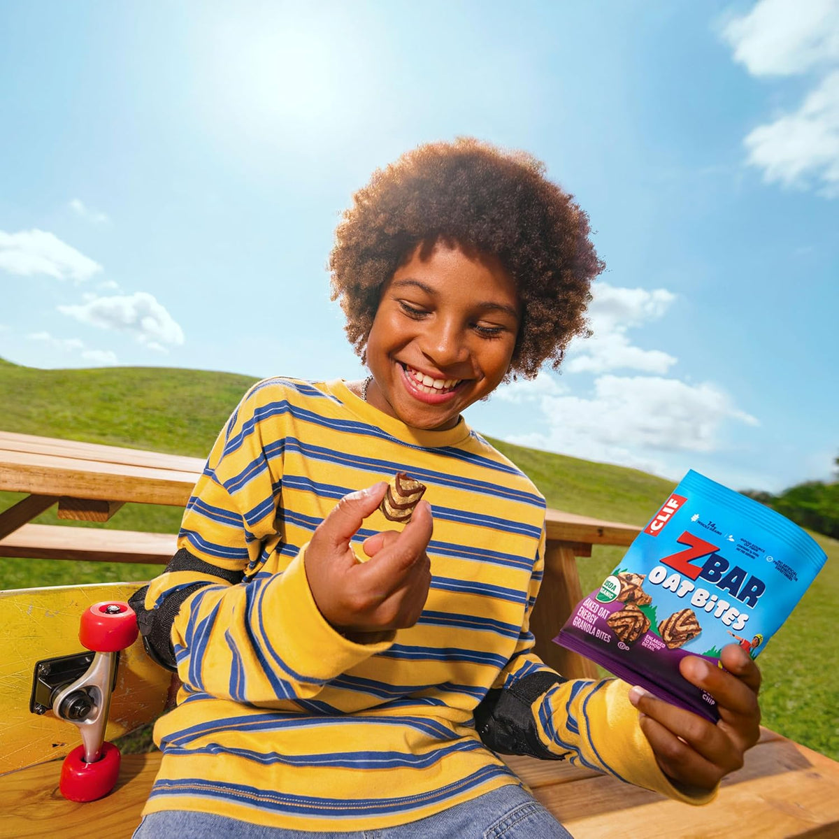 Zbar Oat Bites - Chocolate Chip - Baked Oat Energy Granola Bites - USDA Organic Snacks for Kids - 14g Whole Grains (6 Snack Packs)