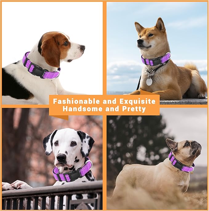 2 Pack Reflective Dog Collar with Safety Locking Buckle, Adjustable Soft Breathable Comfortable Nylon Pet Collar for Small, Medium and Large Dogs, Rosered, S
