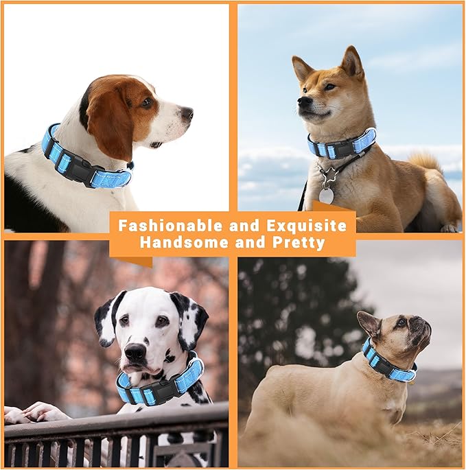 2 Pack Reflective Dog Collar with Safety Locking Buckle, Adjustable Soft Breathable Comfortable Nylon Pet Collar for Small, Medium and Large Dogs, SkyBlue, XL