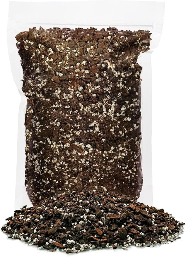 GARDENERA Premium Carambola Potting Soil Mix - Perfect Balance of Nutrients, Drainage, and Aeration for Thriving Starfruit Trees - 2 Quart