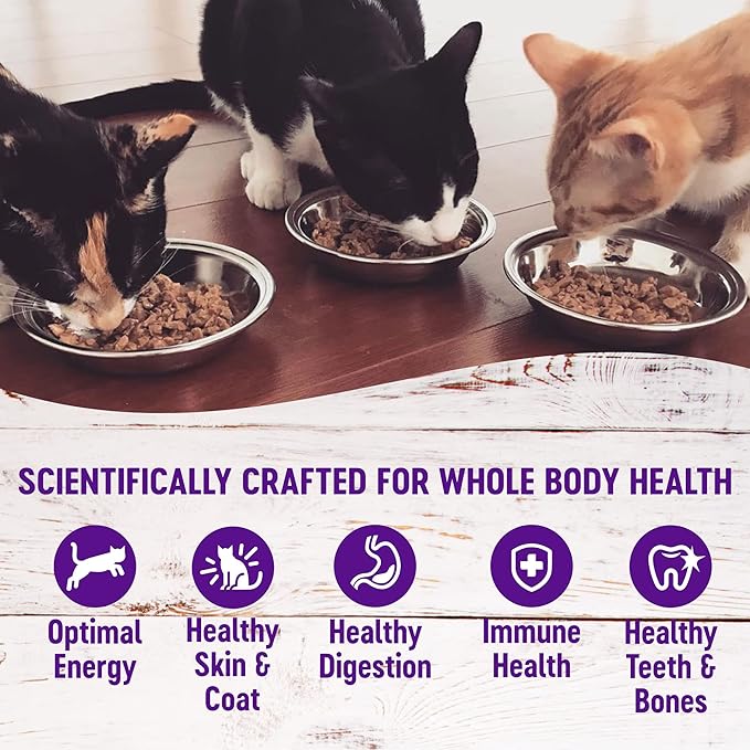 Wellness Healthly Indulgence Morsels Adult Wet Cat Food, Natural, Protein-Rich, Grain Free, 3 Ounce Pouch, 24 Pack, (Tuna)
