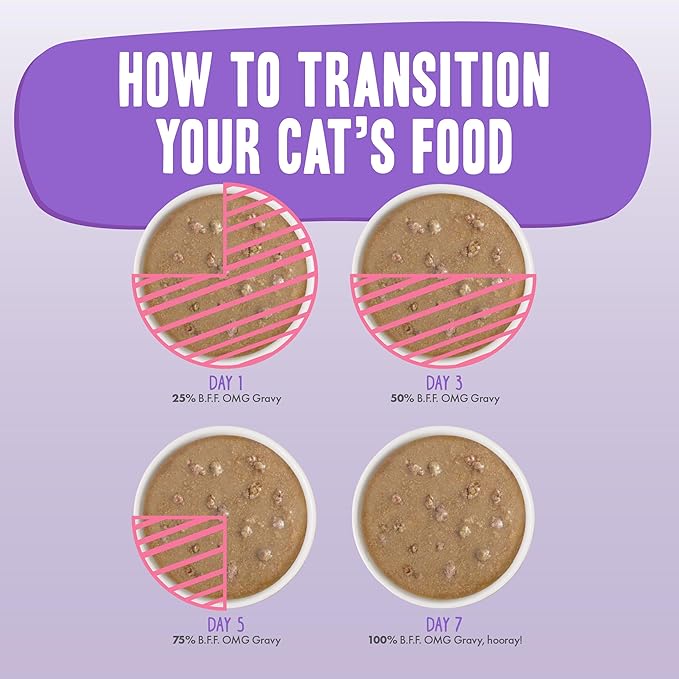 Weruva B.F.OMG - Best Feline Friend Oh My Gravy!, Tuna & Beef Baby Cakes with Tuna & Beef in Gravy Cat Food, 3oz Pouch (Pack of 12), Purple (0152)