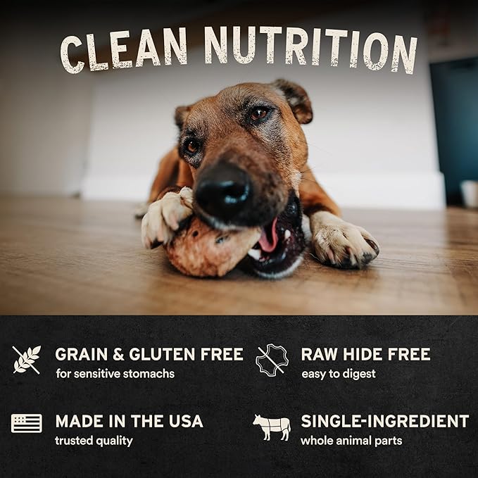 Vital Essentials Freeze-Dried Raw Duck Neck Dog Treat & Natural Chew, 1-Pack | Single Ingredient Dog Treat for Light Chewers | Made in USA