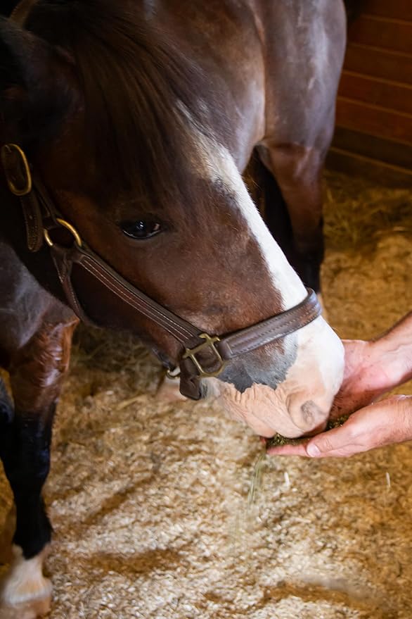 New Country Organics | Loyalty Senior Horse Pellets for Horses 15+ Years Old | Corn-Free and Soy-Free | 16% Protein | Certified Organic and Non-GMO | Nutrition for Senior Horses 40 lbs | Grain Feed