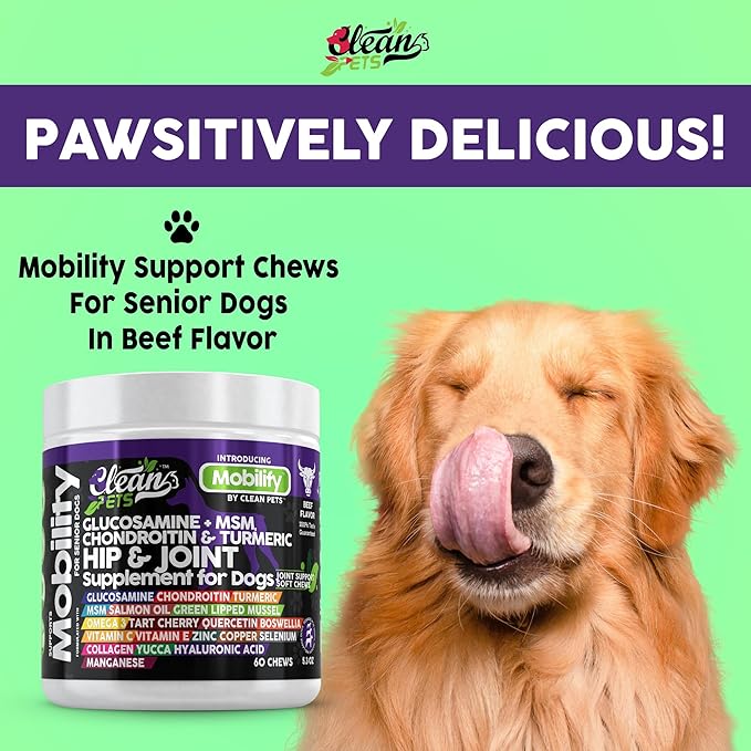 Hip and Joint Supplement Dogs with Glucosamine for Dogs + Chondroitin, Turmeric, Hyaluronic Acid, MSM, Salmon Oil, Collagen, Vitamin C, Omega 3 Senior Dog Supplements Beef Flavor - 1Pack