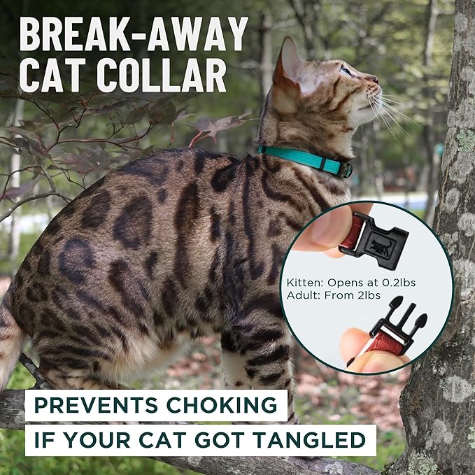 OutdoorBengal Durable Cat Collar Breakaway with Soft Padding Medium to Large Cats - Thin Heavy Duty Tactical Fabric, Comfortable, Quick Release Cat Collars, No Bell Collar (Black Reflective, Kitten)
