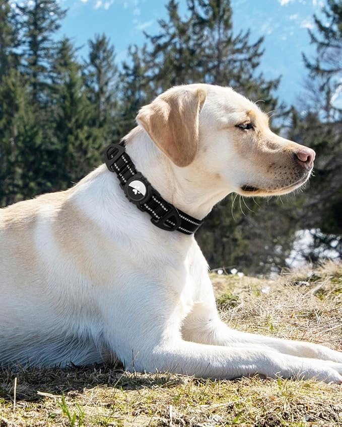 Joytale Airtag Dog Collar, Dual D-Rings, Reflective Pet Collar with Waterproof AirTag Holder, Soft Padded Adjustable for Medium Dogs, Black, M
