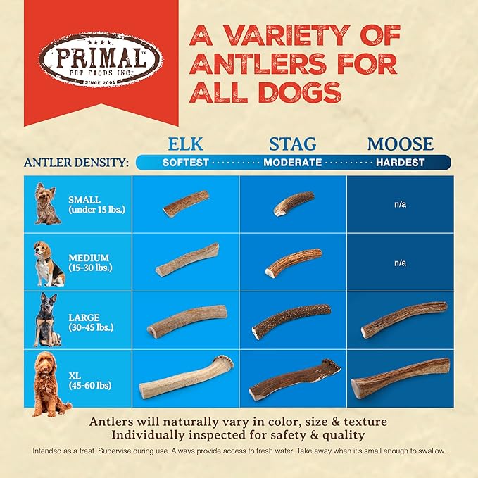 Primal Antlers for Dogs, Grade A Split Moose Antlers for Large Canines 45-60 lb, Natural Chews for Aggressive Chewers, Naturally Shed, Long Lasting Dog Bones, 1 ct