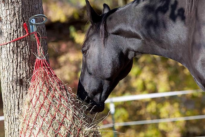 Horse Feed Bucket Hook,Water Bucket Holder Hanger for Horse Stall/Stable Supplies (2 Pack)