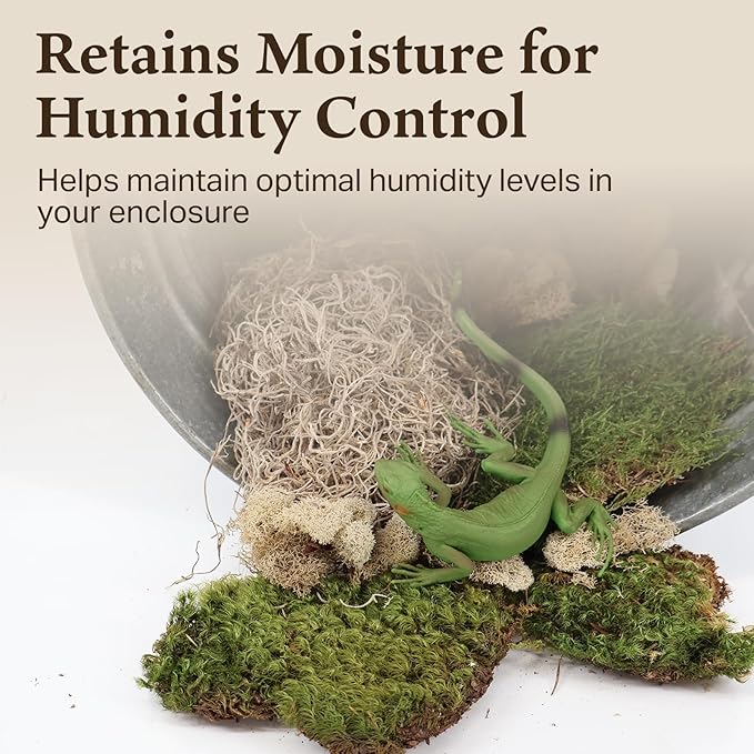The Habitat Life - Natural Variety Pack - Mix of Reindeer, Mood, Sheet & Spanish Moss - for All Terrariums - Humidity Control - Breathable Bedding - Dye-Free & Safe - Small - 1 Pack