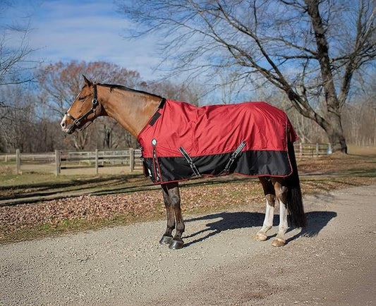 Equinavia Norse Lightweight 100g Fill Horse Rain Blanket | Waterproof Turnout Sheet - Black - 66 in - Equestrian Red - 81 in