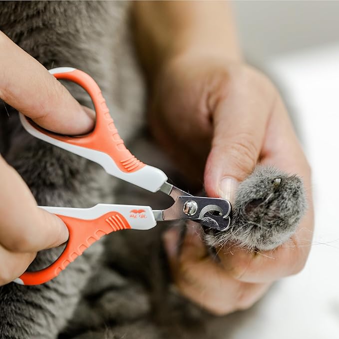 Mr. Pen Cat Nail Trimmer - Orange, Kitten & Small Dog Nail Clipper, Cat Claw Trimmer