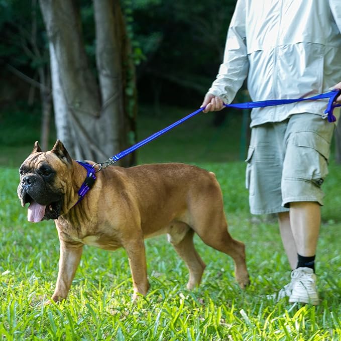 EXCELLENT ELITE SPANKER Reflective Dog Collar Classic Soft Padded Breathable Nylon Adjustable Pet Collar with Quick Release Buckle for Boy Girl Male Female Small Medium Large Dogs Training(Red-L)