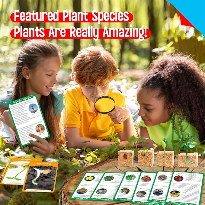 15 Plant Life Circle Flashcards with 4 Plastic Figurines-Seed to Plant, Plants Introduction Card Plants Growth Details for Nature Lovers & Adults, Montessori Toy for Kids