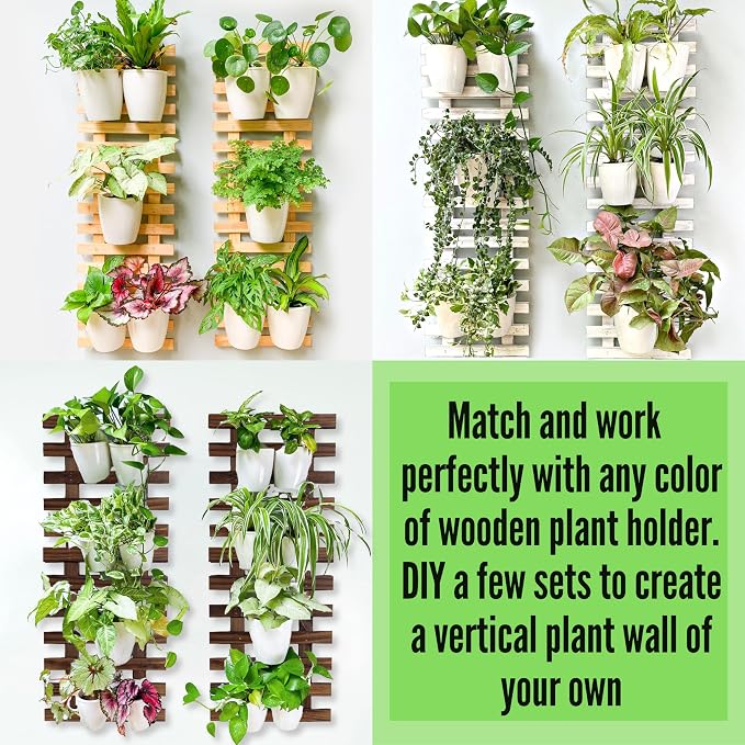 LáLáGreen Wall Planters for Indoor Plants