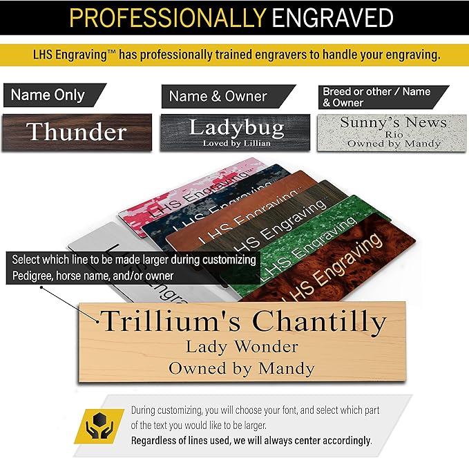 Personalized Horse Stall Name Plates, 2x10 Horse Stall Signs with Adhesive, All Weather UV Protected, Black Plastic White Letters - Made in USA - B2