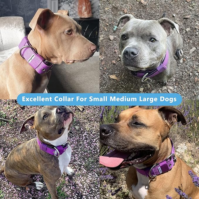 Heavy Duty Tactical Dog Collar - 1.5" Width Military Durable Thick Nylon with Adjustable Metal D Ring & Buckle Working Training K9 Collar for Medium Large Dogs (L(20"-23"), Purple)