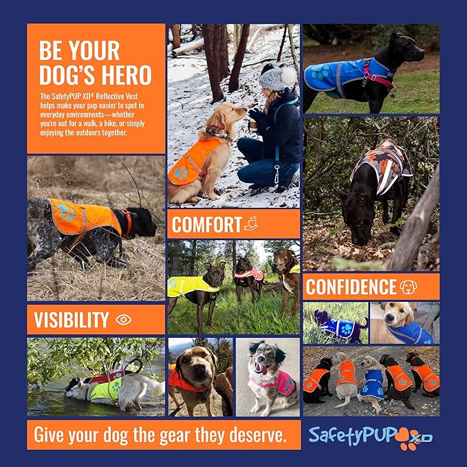 Dog Reflective Vest – Hi-Vis Fluorescent Visibility That Helps to Safeguard Your Pet On/Off Leash in Urban & Rural Areas (Blue, Large)