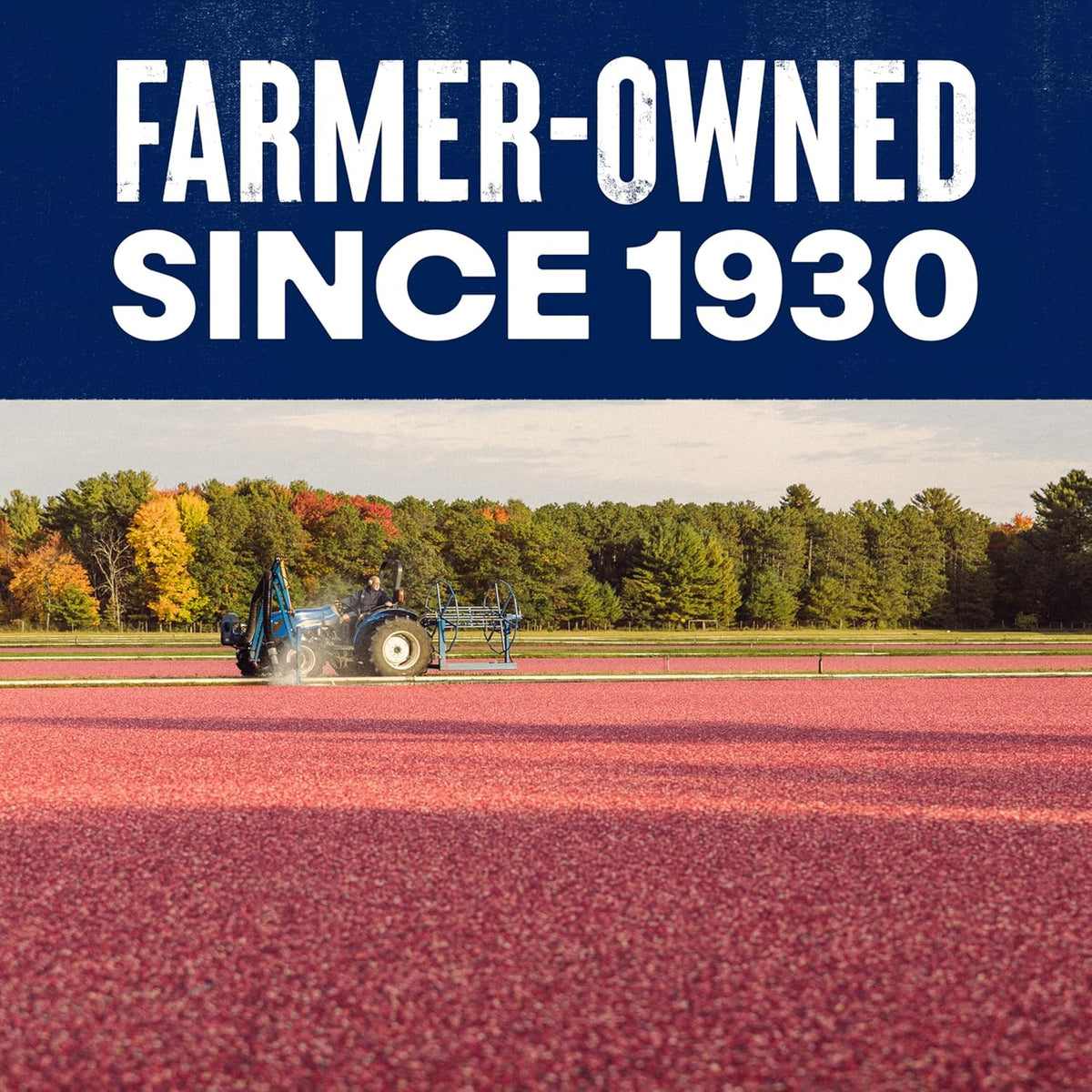 Ocean Spray® Craisins®, 50% Less Sugar Dried Cranberries, Dried Fruit, 5 Oz Pouch