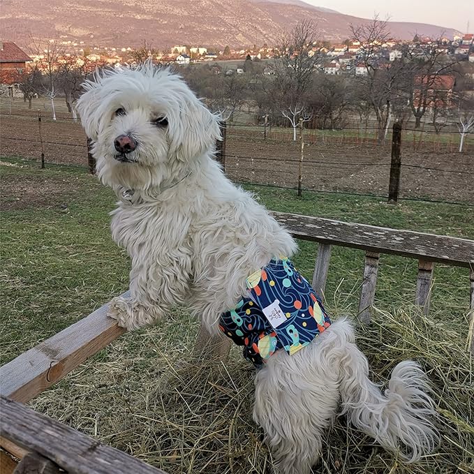 CuteBone Dog Diapers Male Washable Belly Band for Male Dogs Wraps 3pcs a Pack DM28M