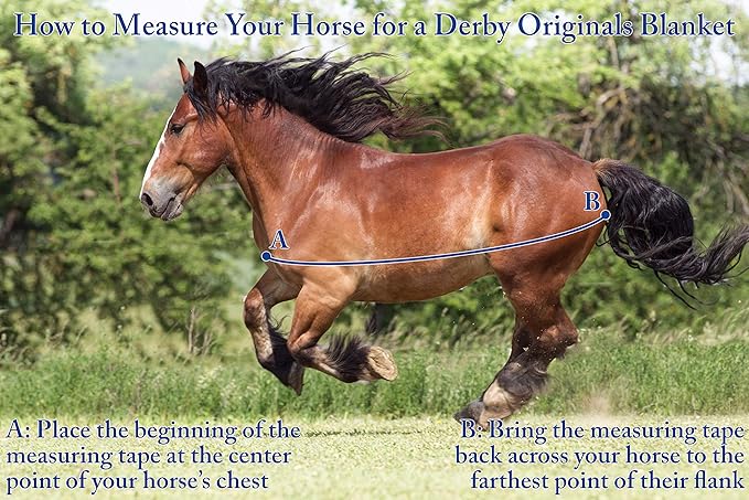 Derby Originals Nordic-Tough 1200D Heavyweight Mini Horse & Pony Turnout Blanket – Waterproof, Breathable, 300g Insulation, 210T Lining, Reflective, 2-Year Warranty (Turquoise, 52")