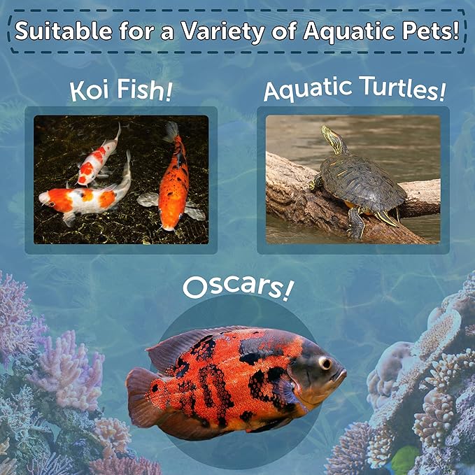 Aquatic Foods Inc. Red Shrimp, Freeze Dried 1/2" to 1 & 1/4" Floating Red River Shrimp for Cichlids, All Tropical Fish, Koi & Pond Fish, Aquatic Turtles, Reptiles, Rodents 1oz Canister