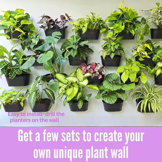 LaLaGreen Wall Planter Black Metal Wall Hanging Decor