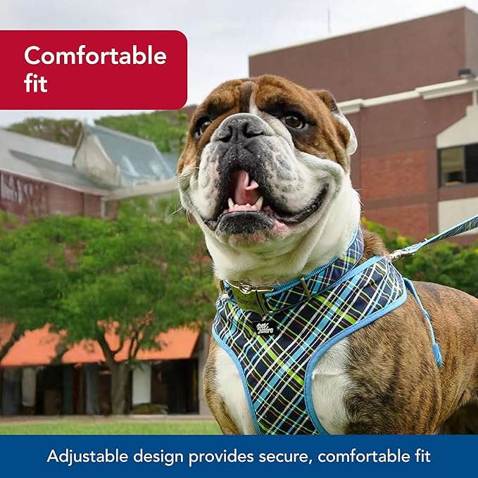 Coastal Pet - Ribbon - Adjustable Dog Collar with Metal Buckle, Red with Paws, 5/8" x 12"-18"