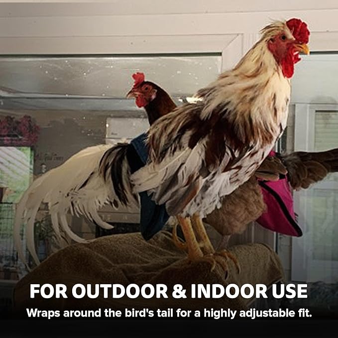 Hen Holster Wrap-Around Bird Diaper & Harness for Hens, Roosters, Ducks, Geese - with Removable Vinyl Liner, Adjustable Fit for Outdoor Adventures & Indoor Use - Easy to wear - XL, Black