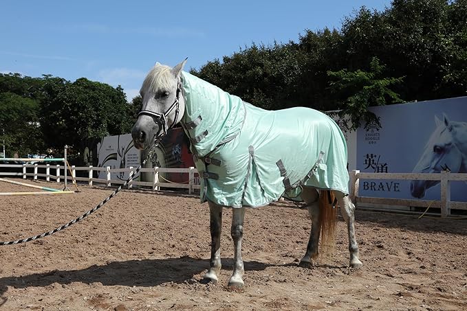 Horse Fly Sheet with Detachable Neck Cover & Belly Wrap, Adjustable Fly Sheet for Horses, Ventilated Airflow Mesh Equine Cooling Summer Flysheet Green 72
