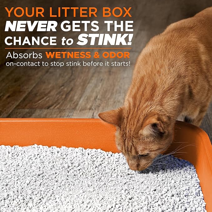 POOPH® LITTERIZER® – 16oz Bottle – Absorbs 46x Weight in Wetness & Odor – Keeps Litter Dry, Reduces Mess, Reduce Litter Costs AND Get a STINK-FREELitter Box – WITHOUT Fragrances or Harsh Chemicals