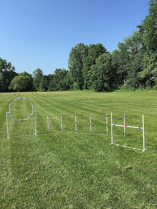 Dog Agility Training Equipment Course Set, Weave Poles, Dog Agility Jump with Dog Agility Jump Cups and Tire Jump