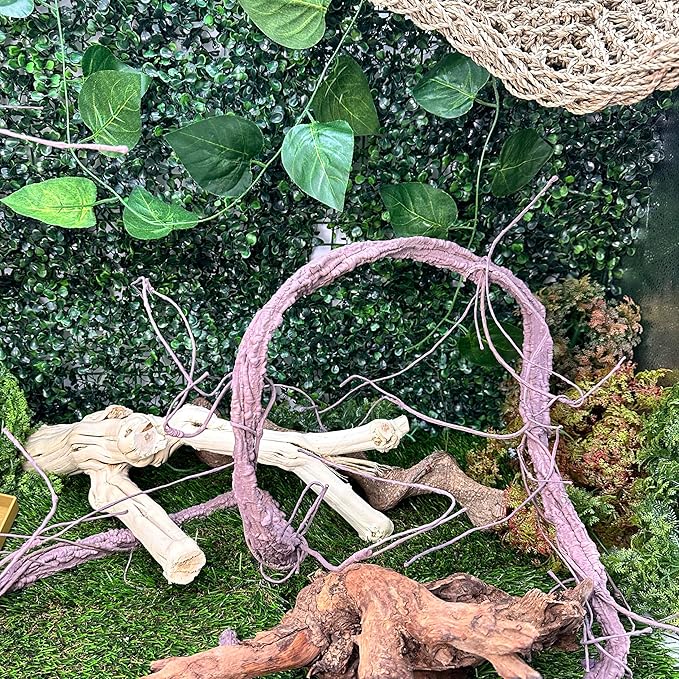 VCEPJH Large Reptile Vines Thick Terrarium Plants 118 Inches Long Flexible Climbing Branch Snake Tank Accessories Greenery Habitat Decor for Bearded Dragon Chameleon Gecko Frog Lizard (L)