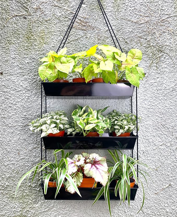 LaLaGreen 16 Inch Wall Mounted Tiered Planter