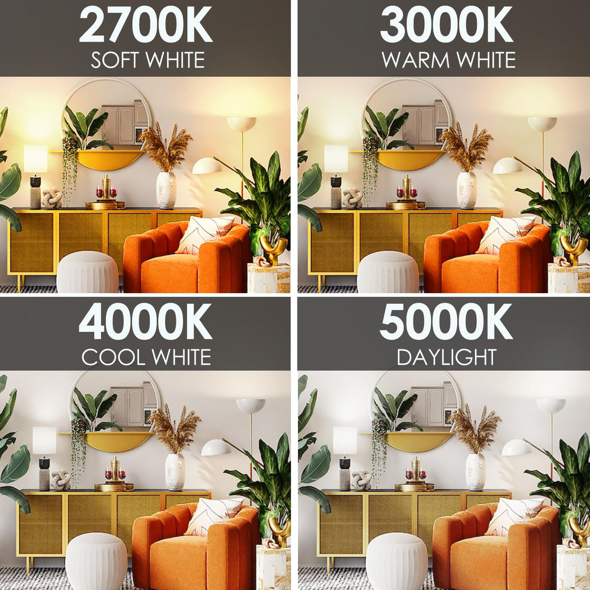 E Energetic Lighting Dimmable LED Bulbs – 60W Equivalent, 5000K Daylight, 8W, 800 Lumens, ETL Listed, 12 Pack