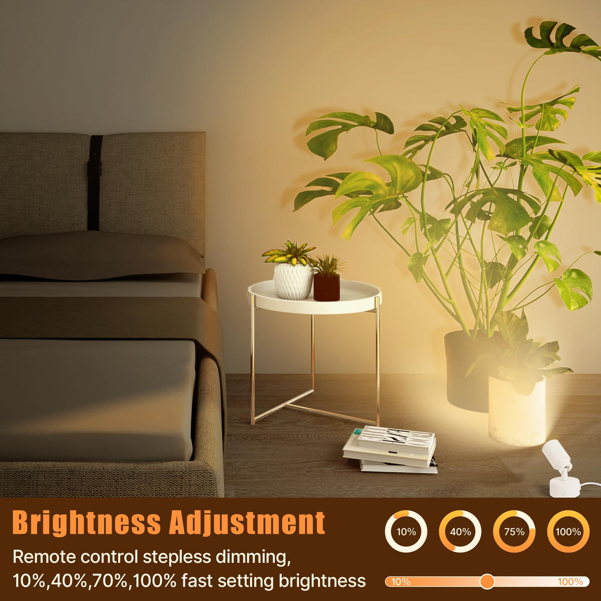 Kandicyar LED Spotlight 5W Indoor Uplighting – Remote, Dimmable, 3 CCT, Wall/Floor Mount