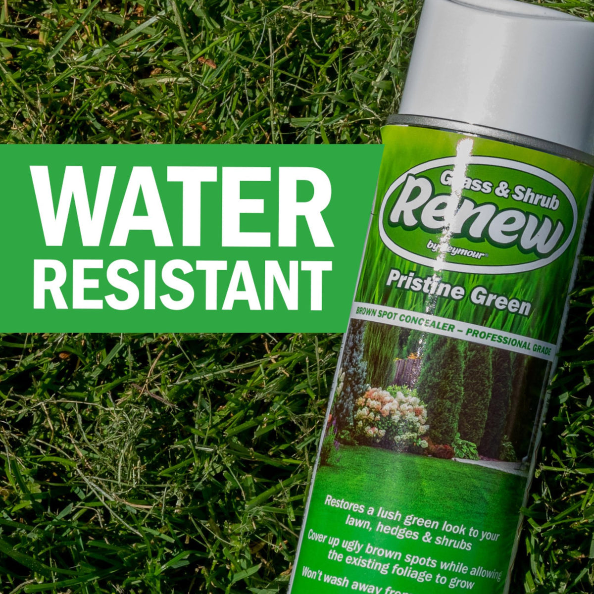 SEYMOUR RENEW Grass & Shrub Pristine – 17 oz Can (Pack of 2) | Green Restore